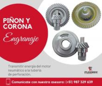 Piñon y Corona Repuesto Packsack Fluimec